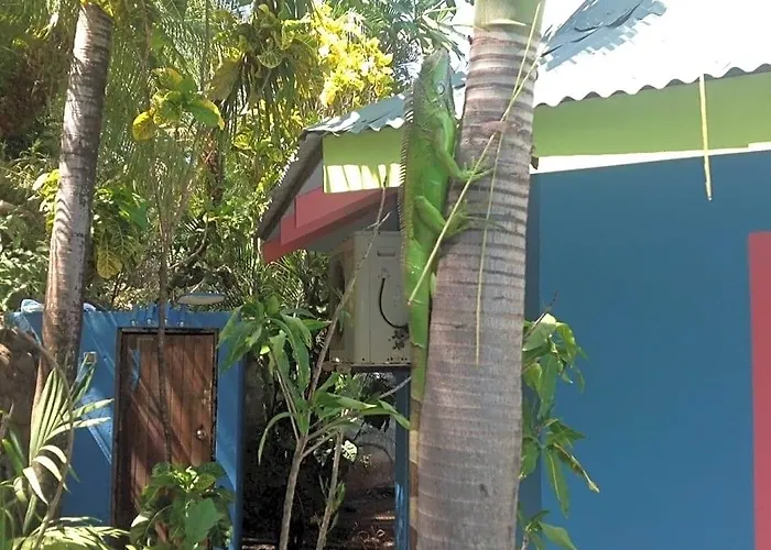 Hotel Tamarindo Village Hotel
