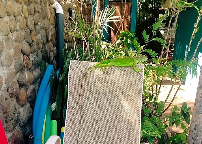 Hotel Tamarindo Village Hotel 3*