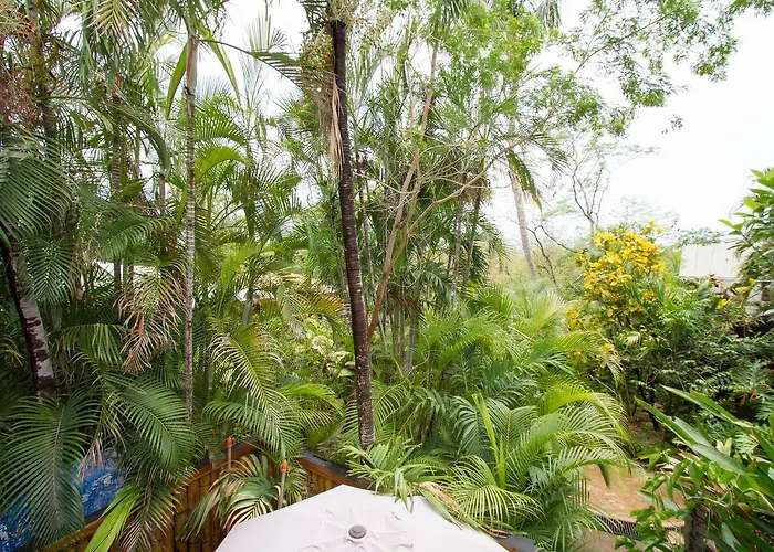 Hotel Tamarindo Village Hotel