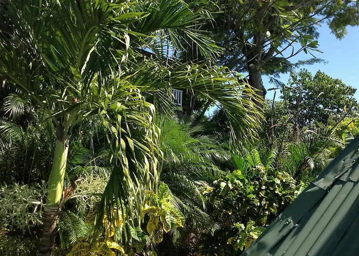 Tamarindo Village Hotel 3*